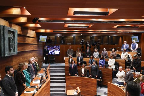 El Gobierno de Asturias manifiesta su pesar por el grave accidente ferroviario de Toledo y ofrece toda su colaboración al Ejecutivo de CastillaLa Mancha y al Ministerio de Transportes