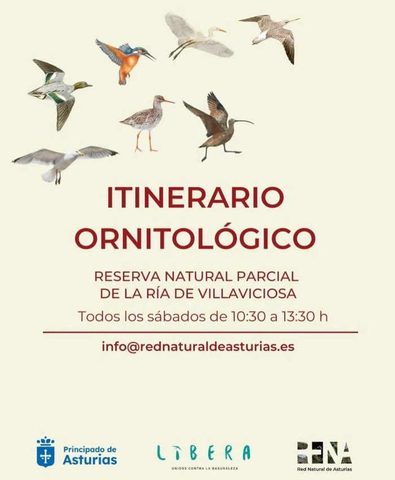 La Red Natural de Asturias organiza salidas guiadas por diferentes espacios naturales contemplando tanto flora como fauna en Asturias